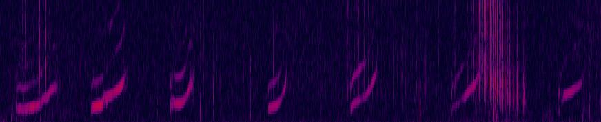 Spectrogram of Sonic whistling